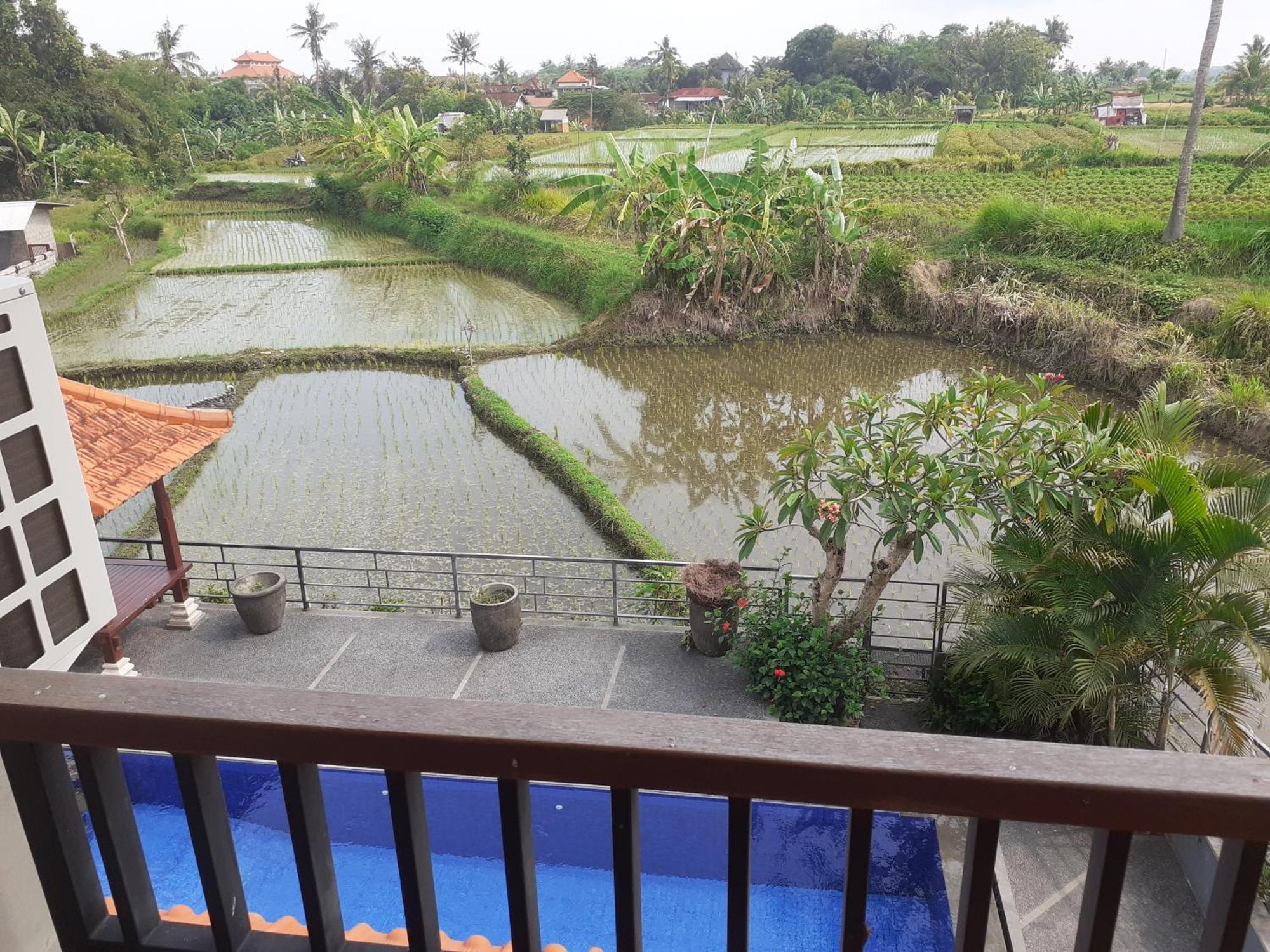 Griya Bun Sari Apartment Sukawati Exterior foto