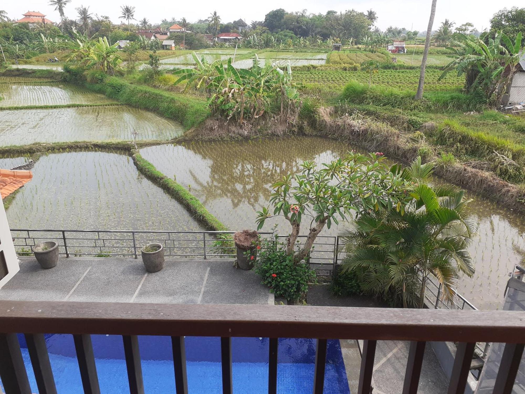 Griya Bun Sari Apartment Sukawati Exterior foto