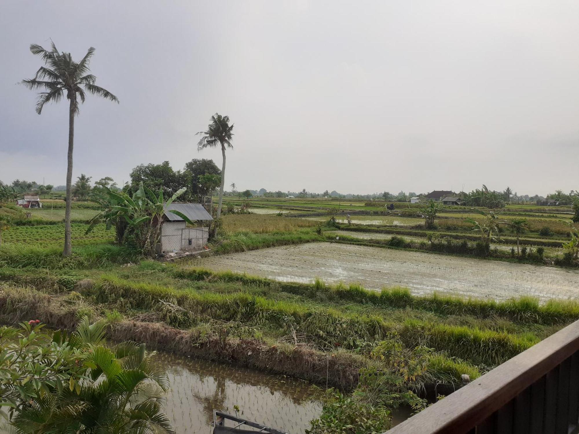 Griya Bun Sari Apartment Sukawati Exterior foto