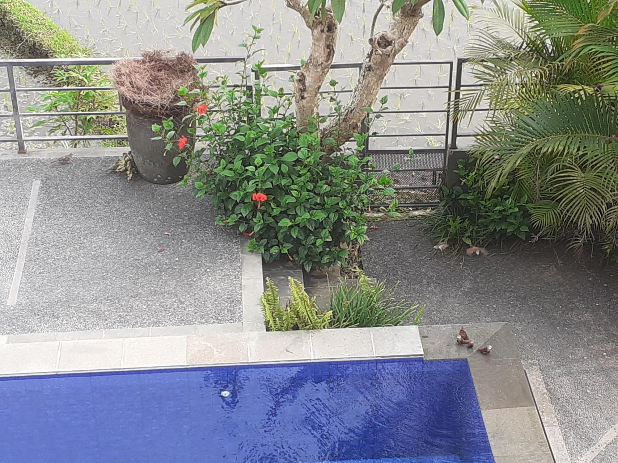 Griya Bun Sari Apartment Sukawati Exterior foto