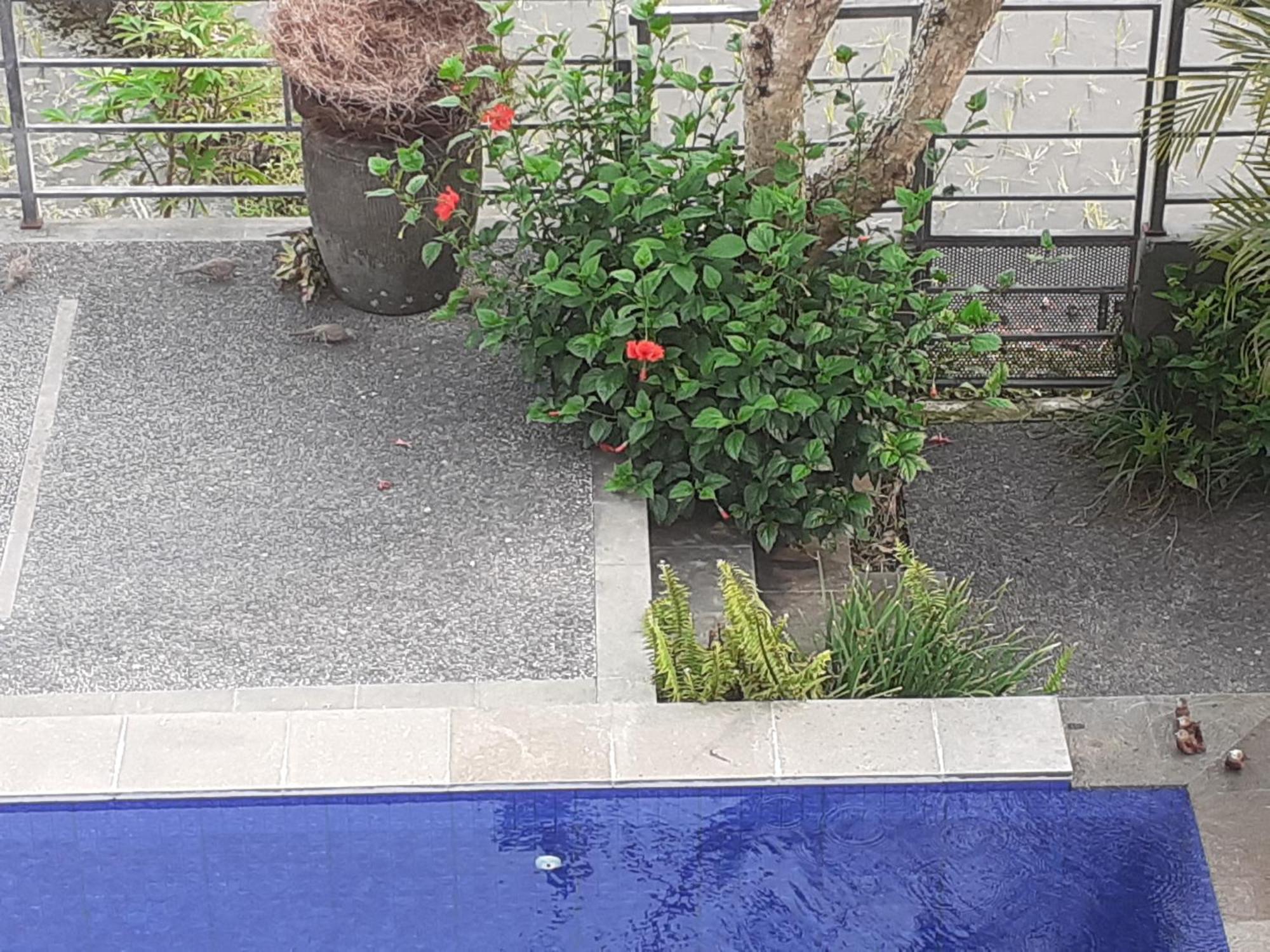 Griya Bun Sari Apartment Sukawati Exterior foto